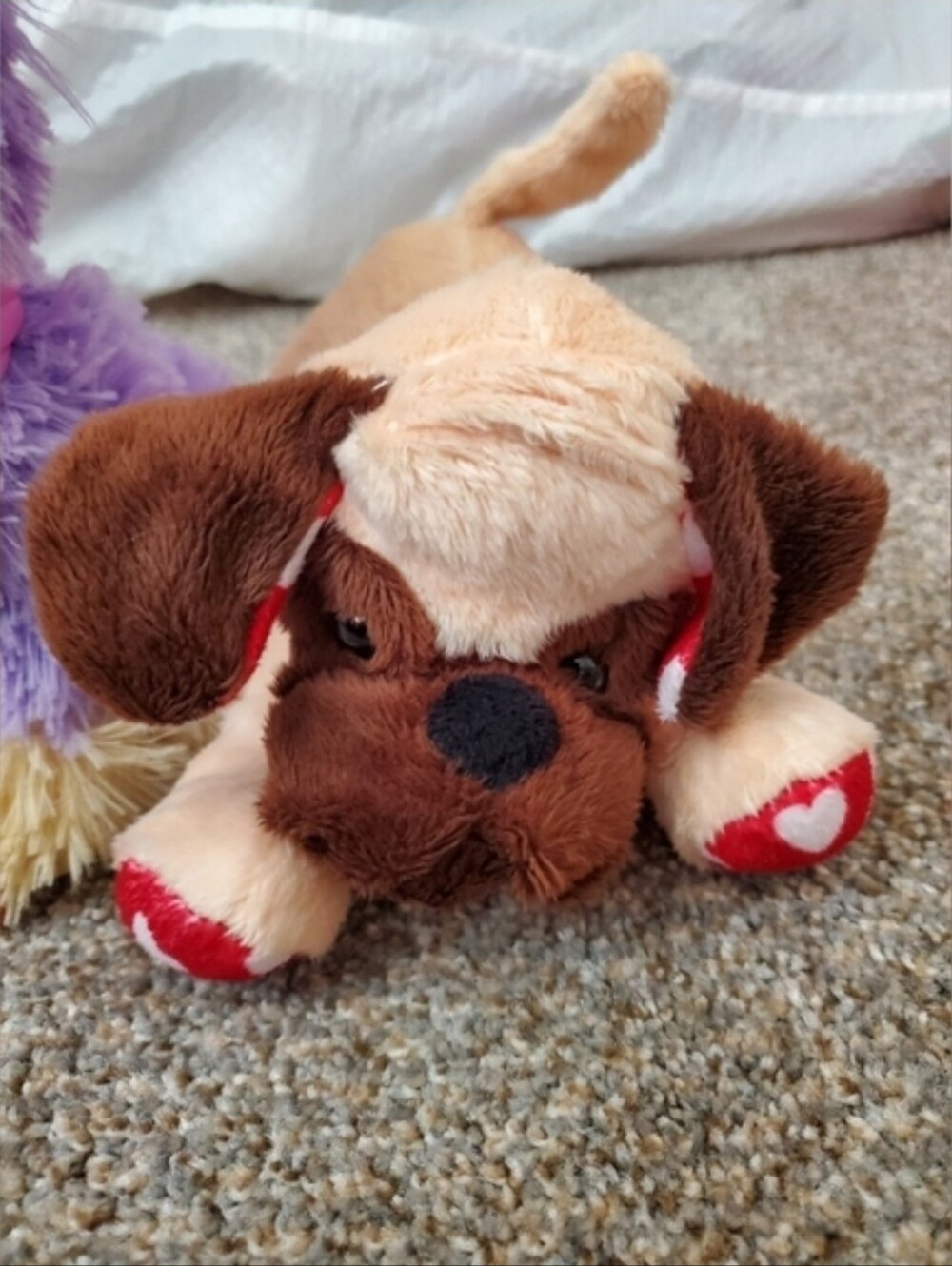 Stuffed Animals - Picture 3 of 3